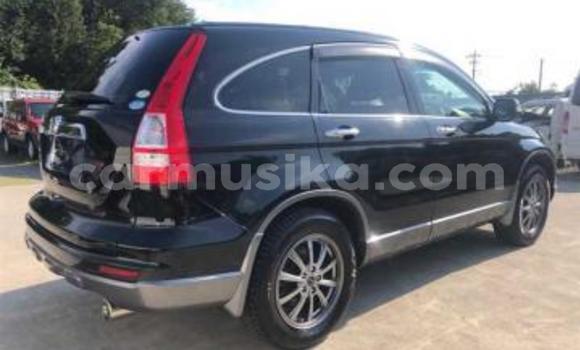 Acheter Occasion Voiture Honda CR–V Noir à Beitbridge, Matabeleland South Acheter Occasion Voiture Honda CR–V Noir à Beitbridge, Matabeleland South