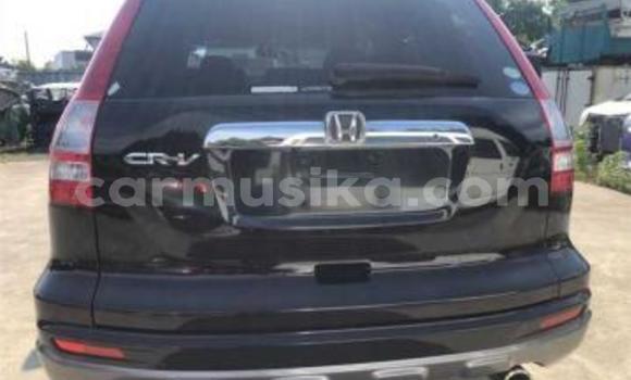 Acheter Occasion Voiture Honda CR–V Noir à Beitbridge, Matabeleland South Acheter Occasion Voiture Honda CR–V Noir à Beitbridge, Matabeleland South