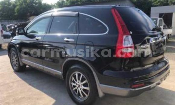 Acheter Occasion Voiture Honda CR–V Noir à Beitbridge, Matabeleland South Acheter Occasion Voiture Honda CR–V Noir à Beitbridge, Matabeleland South