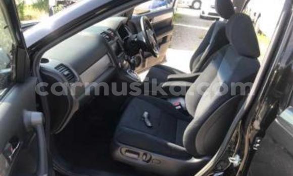 Acheter Occasion Voiture Honda CR–V Noir à Beitbridge, Matabeleland South Acheter Occasion Voiture Honda CR–V Noir à Beitbridge, Matabeleland South
