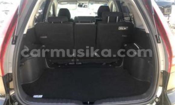 Acheter Occasion Voiture Honda CR–V Noir à Beitbridge, Matabeleland South Acheter Occasion Voiture Honda CR–V Noir à Beitbridge, Matabeleland South