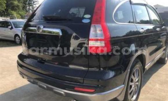 Acheter Occasion Voiture Honda CR–V Noir à Beitbridge, Matabeleland South Acheter Occasion Voiture Honda CR–V Noir à Beitbridge, Matabeleland South