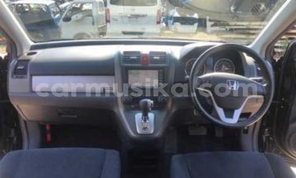 Acheter Occasion Voiture Honda CR–V Noir à Beitbridge, Matabeleland South Acheter Occasion Voiture Honda CR–V Noir à Beitbridge, Matabeleland South