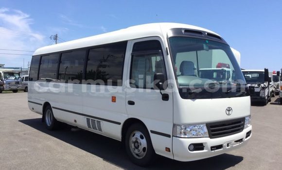 Nunua Ilio tumika Toyota Coaster Nyingine Gari ndani ya Beitbridge nchini Matabeleland Kusini