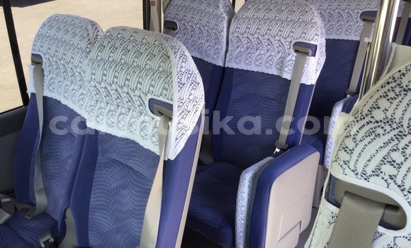 Tenga Tsaru Toyota Coaster Zvimwe Mota in Beitbridge in Matabeleland South Tenga Tsaru Toyota Coaster Zvimwe Mota in Beitbridge in Matabeleland South