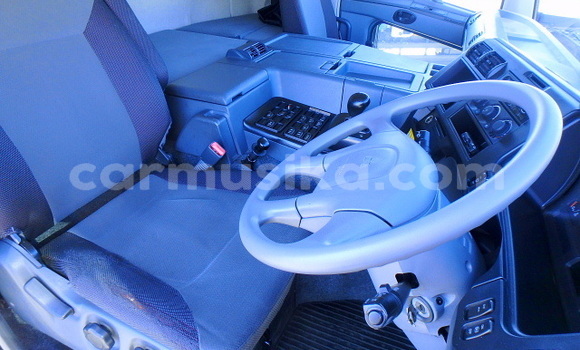 Tenga Tsaru Mitsubishi Fuso Chena Rori in Beitbridge in Matabeleland South Tenga Tsaru Mitsubishi Fuso Chena Rori in Beitbridge in Matabeleland South