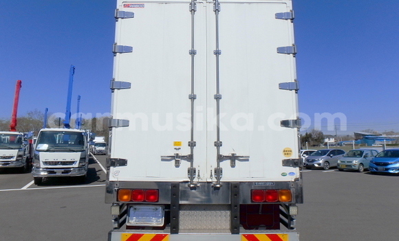 Tenga Tsaru Mitsubishi Fuso Chena Rori in Beitbridge in Matabeleland South Tenga Tsaru Mitsubishi Fuso Chena Rori in Beitbridge in Matabeleland South