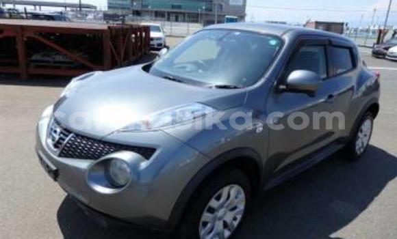 Acheter Occasion Voiture Nissan Juke Gris à Beitbridge, Matabeleland South