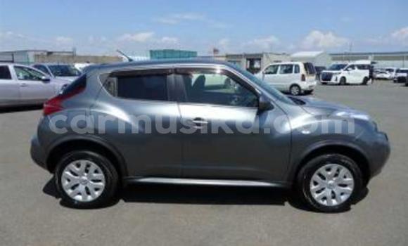 Nunua Ilio tumika Nissan Juke Fedha Gari ndani ya Beitbridge nchini Matabeleland Kusini Nunua Ilio tumika Nissan Juke Fedha Gari ndani ya Beitbridge nchini Matabeleland Kusini