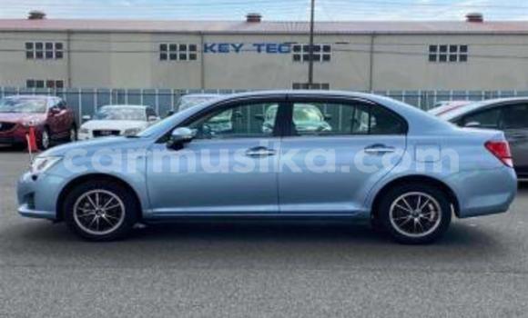 Buy Used Toyota Axio Blue Car in Beitbridge in Matabeleland South Buy Used Toyota Axio Blue Car in Beitbridge in Matabeleland South