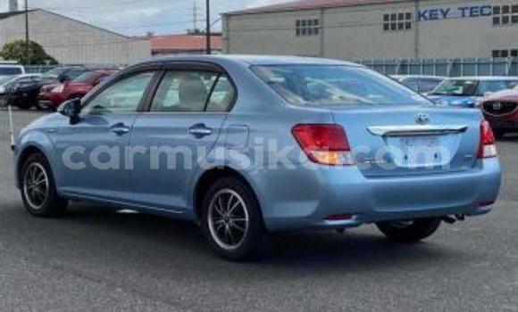 Buy Used Toyota Axio Blue Car in Beitbridge in Matabeleland South Buy Used Toyota Axio Blue Car in Beitbridge in Matabeleland South