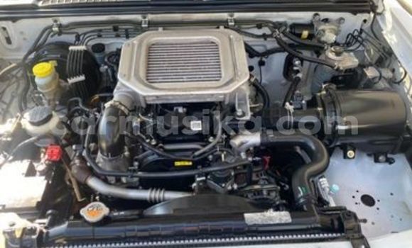 Tenga Tsaru Nissan NP 300 Chena Mota in Beitbridge in Matabeleland South Tenga Tsaru Nissan NP 300 Chena Mota in Beitbridge in Matabeleland South