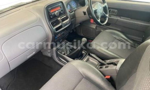 Tenga Tsaru Nissan NP 300 Chena Mota in Beitbridge in Matabeleland South Tenga Tsaru Nissan NP 300 Chena Mota in Beitbridge in Matabeleland South