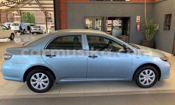 Acheter Occasion Voiture Toyota Corolla Bleu à Beitbridge, Matabeleland South Acheter Occasion Voiture Toyota Corolla Bleu à Beitbridge, Matabeleland South