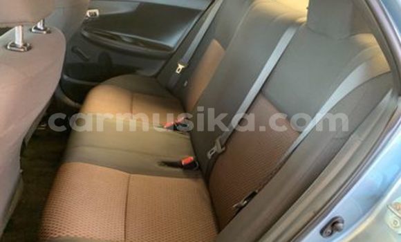 Acheter Occasion Voiture Toyota Corolla Bleu à Beitbridge, Matabeleland South Acheter Occasion Voiture Toyota Corolla Bleu à Beitbridge, Matabeleland South