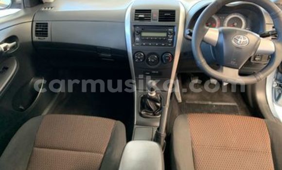 Acheter Occasion Voiture Toyota Corolla Bleu à Beitbridge, Matabeleland South Acheter Occasion Voiture Toyota Corolla Bleu à Beitbridge, Matabeleland South