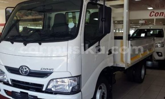 Tenga Tsaru Toyota Dyna Chena Mota in Beitbridge in Matabeleland South