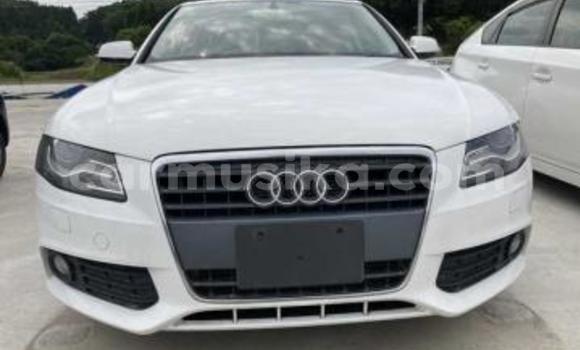 Tenga Tsaru Audi A4 Chena Mota in Beitbridge in Matabeleland South