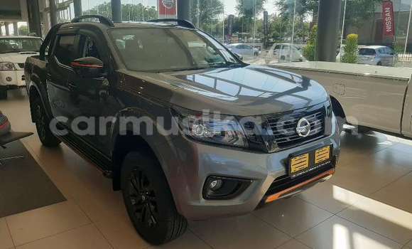 Buy Used Nissan Navara White Car in Beitbridge in Matabeleland South Buy Used Nissan Navara White Car in Beitbridge in Matabeleland South