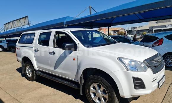 Buy Used Isuzu KB White Car in Beitbridge in Matabeleland South Buy Used Isuzu KB White Car in Beitbridge in Matabeleland South