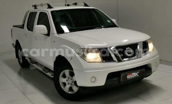 Tenga Tsaru Nissan Navara Chena Mota in Beitbridge in Matabeleland South