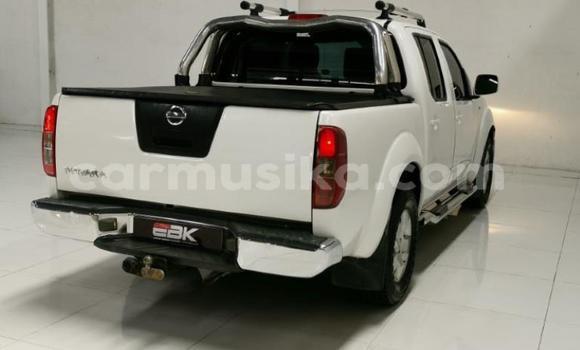 Acheter Occasion Voiture Nissan Navara Blanc à Beitbridge, Matabeleland South Acheter Occasion Voiture Nissan Navara Blanc à Beitbridge, Matabeleland South