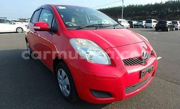 Tenga Tsaru Toyota Vitz Zvimwe Mota in Beitbridge in Matabeleland South Tenga Tsaru Toyota Vitz Zvimwe Mota in Beitbridge in Matabeleland South