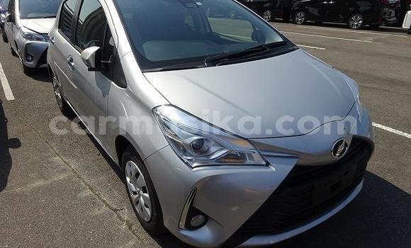 Buy Used Toyota Vitz Silver Car in Beitbridge in Matabeleland South