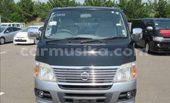 Tenga Tsaru Nissan Caravan Nhema Mota in Beitbridge in Matabeleland South