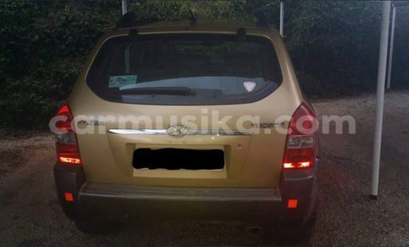 Nunua Ilio tumika Hyundai Tucson Nyingine Gari ndani ya Alexandra Park nchini Harare