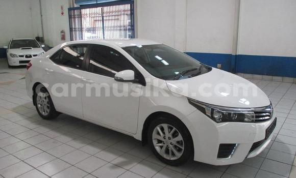 Buy Used Toyota Corolla White Car in Beitbridge in Matabeleland South