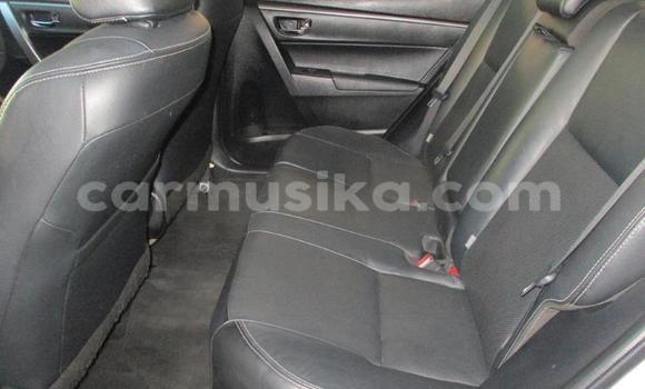 Acheter Occasion Voiture Toyota Corolla Blanc à Beitbridge, Matabeleland South Acheter Occasion Voiture Toyota Corolla Blanc à Beitbridge, Matabeleland South