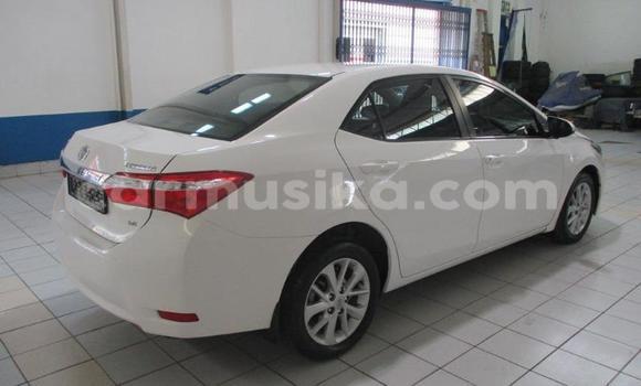 Acheter Occasion Voiture Toyota Corolla Blanc à Beitbridge, Matabeleland South Acheter Occasion Voiture Toyota Corolla Blanc à Beitbridge, Matabeleland South