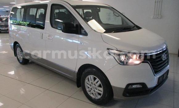 Buy Used Hyundai H1 White Car in Beitbridge in Matabeleland South