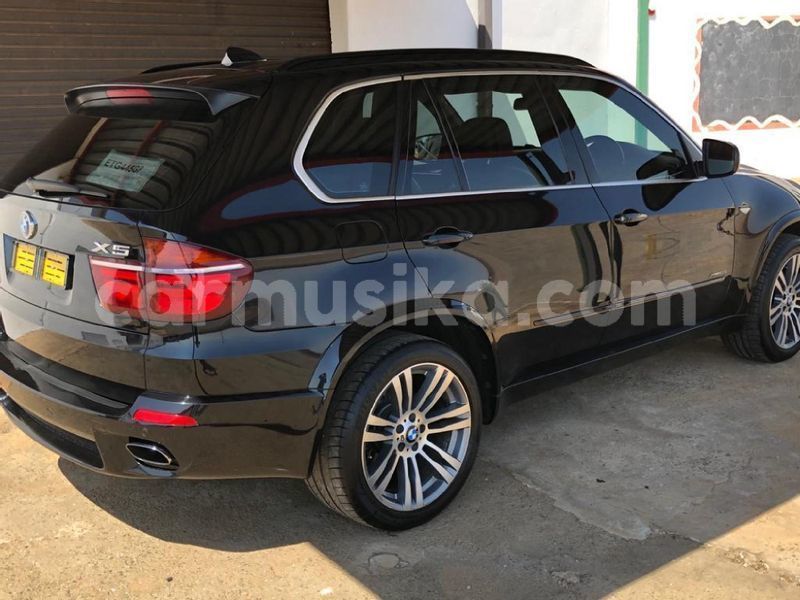 Big with watermark bmw x5 matabeleland south beitbridge 22997