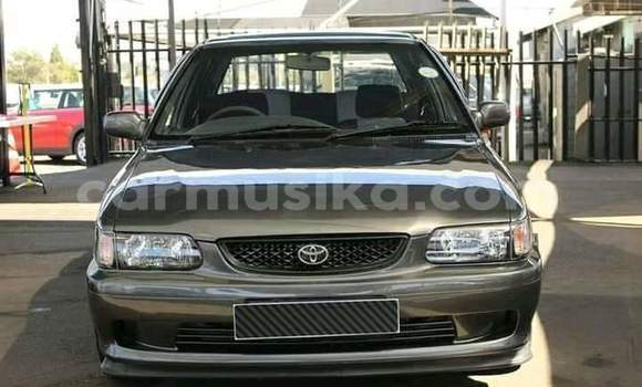 Tenga Tsaru Toyota Corolla Zvimwe Mota in Beitbridge in Matabeleland South Tenga Tsaru Toyota Corolla Zvimwe Mota in Beitbridge in Matabeleland South