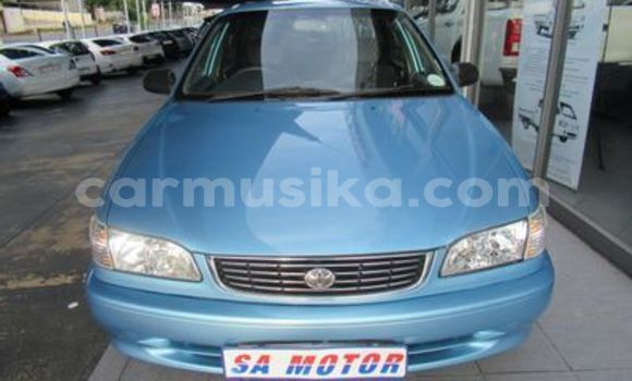Buy Used Toyota Corolla Blue Car in Beitbridge in Matabeleland South