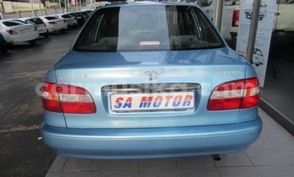 Tenga Tsaru Toyota Corolla Bhuruu Mota in Beitbridge in Matabeleland South Tenga Tsaru Toyota Corolla Bhuruu Mota in Beitbridge in Matabeleland South