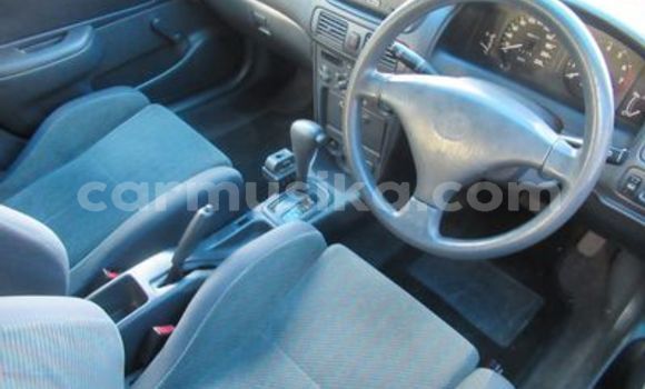 Tenga Tsaru Toyota Corolla Bhuruu Mota in Beitbridge in Matabeleland South Tenga Tsaru Toyota Corolla Bhuruu Mota in Beitbridge in Matabeleland South