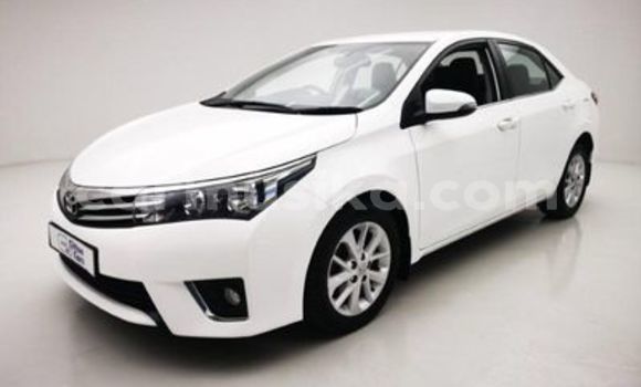 Nunua Ilio tumika Toyota Corolla Nyeupe Gari ndani ya Beitbridge nchini Matabeleland Kusini