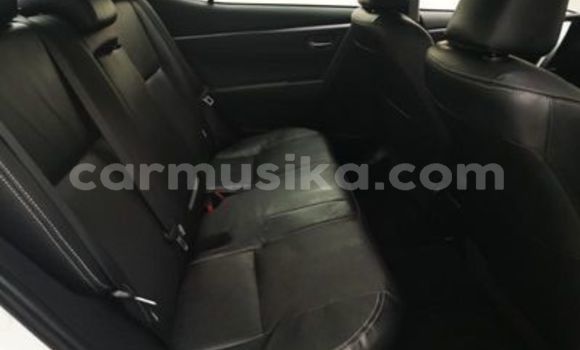 Tenga Tsaru Toyota Corolla Chena Mota in Beitbridge in Matabeleland South Tenga Tsaru Toyota Corolla Chena Mota in Beitbridge in Matabeleland South