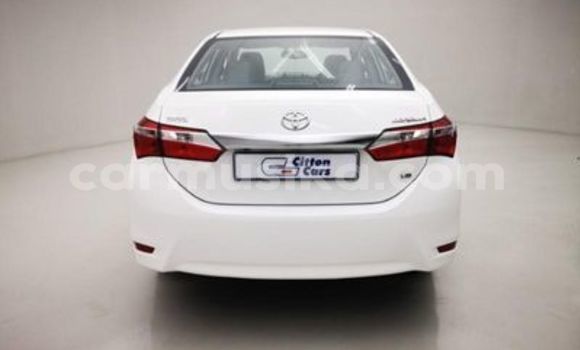 Tenga Tsaru Toyota Corolla Chena Mota in Beitbridge in Matabeleland South Tenga Tsaru Toyota Corolla Chena Mota in Beitbridge in Matabeleland South