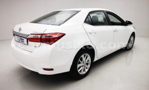 Tenga Tsaru Toyota Corolla Chena Mota in Beitbridge in Matabeleland South Tenga Tsaru Toyota Corolla Chena Mota in Beitbridge in Matabeleland South