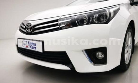 Tenga Tsaru Toyota Corolla Chena Mota in Beitbridge in Matabeleland South Tenga Tsaru Toyota Corolla Chena Mota in Beitbridge in Matabeleland South