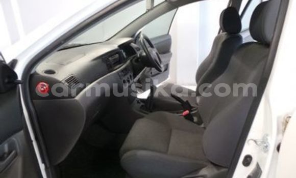 Nunua Ilio tumika Toyota Corolla Nyingine Gari ndani ya Beitbridge nchini Matabeleland Kusini Nunua Ilio tumika Toyota Corolla Nyingine Gari ndani ya Beitbridge nchini Matabeleland Kusini