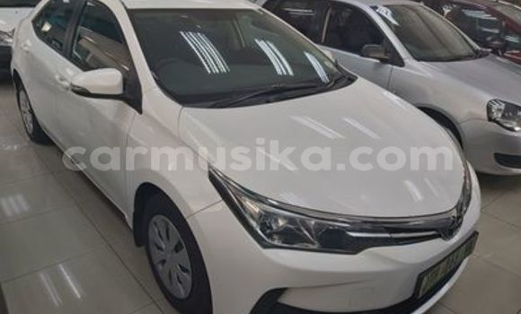 Tenga Tsaru Toyota Corolla Chena Mota in Beitbridge in Matabeleland South