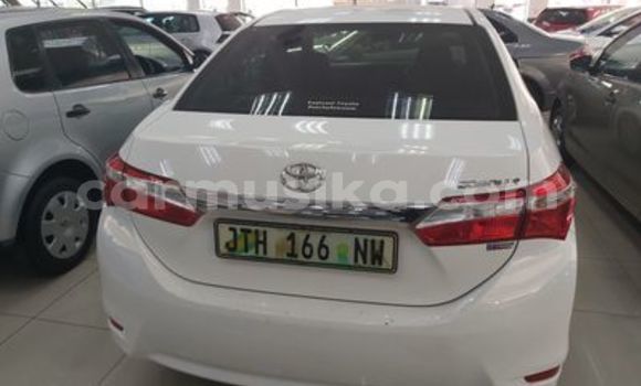 Tenga Tsaru Toyota Corolla Chena Mota in Beitbridge in Matabeleland South Tenga Tsaru Toyota Corolla Chena Mota in Beitbridge in Matabeleland South