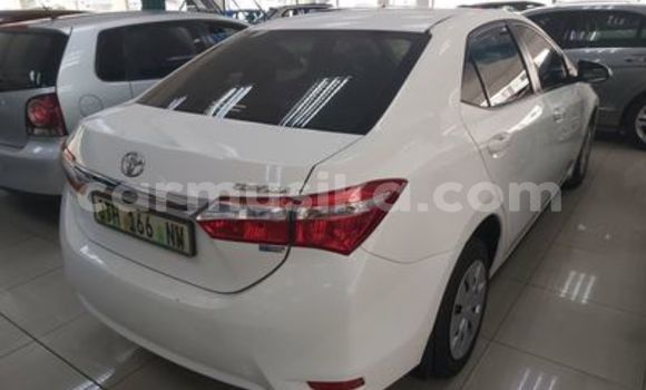 Tenga Tsaru Toyota Corolla Chena Mota in Beitbridge in Matabeleland South Tenga Tsaru Toyota Corolla Chena Mota in Beitbridge in Matabeleland South