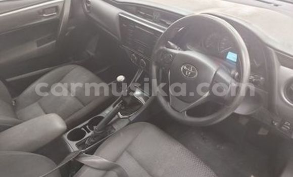 Tenga Tsaru Toyota Corolla Chena Mota in Beitbridge in Matabeleland South Tenga Tsaru Toyota Corolla Chena Mota in Beitbridge in Matabeleland South