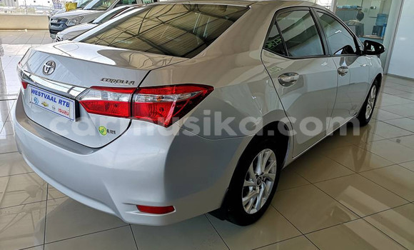 Tenga Tsaru Toyota Corolla Zvimwe Mota in Beitbridge in Matabeleland South Tenga Tsaru Toyota Corolla Zvimwe Mota in Beitbridge in Matabeleland South